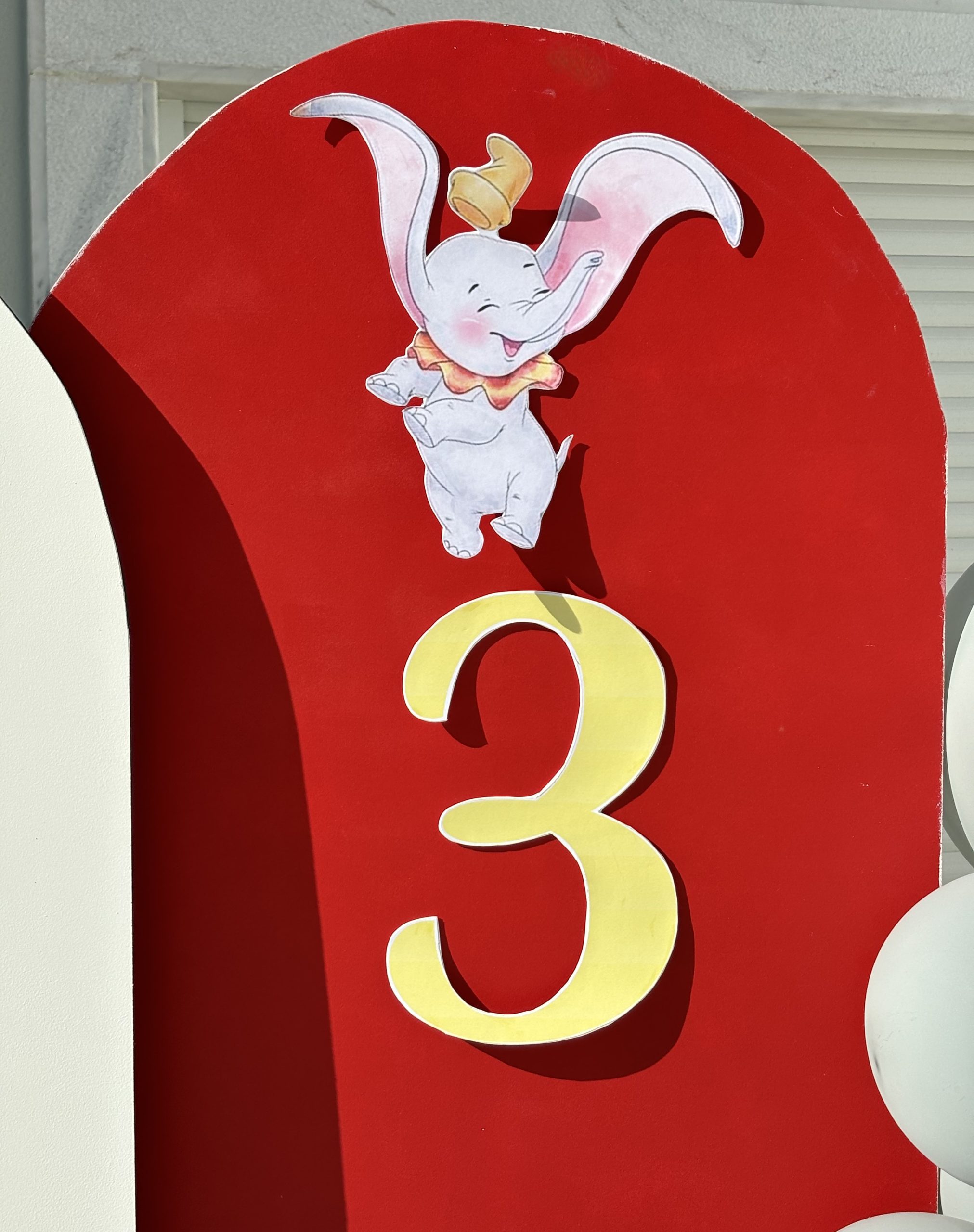 Dumbo do Duarte - Image 21